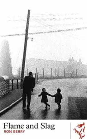 Berry |  Flame and Slag | eBook | Sack Fachmedien