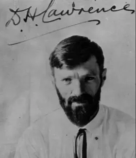 H Lawrence |  Women in Love | eBook | Sack Fachmedien