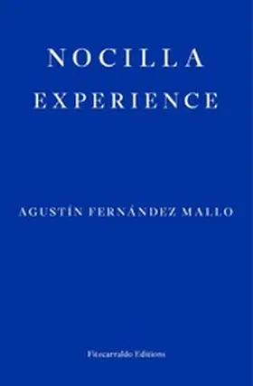 Fernández Mallo |  Nocilla Experience | eBook | Sack Fachmedien