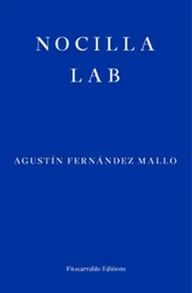Fernández Mallo |  Nocilla Lab | eBook | Sack Fachmedien