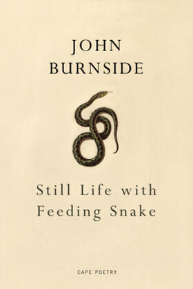 Burnside |  Still Life with Feeding Snake | Buch |  Sack Fachmedien