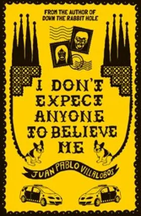 Villalobos |  I Don't Expect Anyone to Believe Me | eBook | Sack Fachmedien