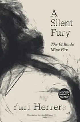 Herrera |  A Silent Fury | eBook | Sack Fachmedien