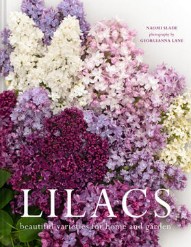 Slade |  LILACS HB | Buch |  Sack Fachmedien