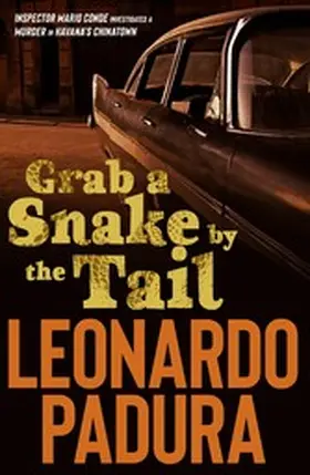  Grab a Snake by the Tail | eBook | Sack Fachmedien