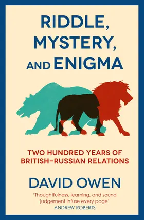 Owen |  Riddle, Mystery, and Enigma | Buch |  Sack Fachmedien