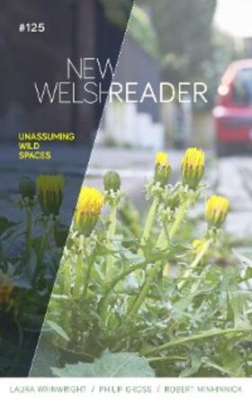 Wainwright / Gross / Davies |  New Welsh Reader Winter 2020 | eBook | Sack Fachmedien
