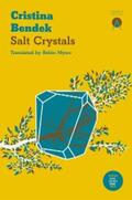 Bendek |  Salt Crystals | eBook | Sack Fachmedien