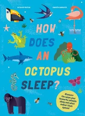 Iannuzzi / Pintos |  How Does An Octopus Sleep? | eBook | Sack Fachmedien