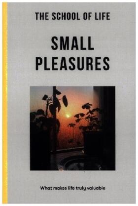 School |  Small Pleasures | Buch |  Sack Fachmedien