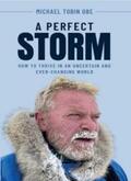Tobin |  A Perfect Storm | eBook | Sack Fachmedien