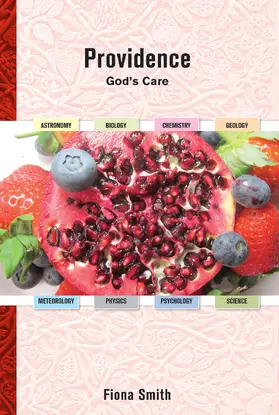 Smith |  Providence | eBook | Sack Fachmedien