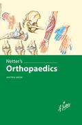 Greene |  Netter's Orthopaedics | Buch |  Sack Fachmedien