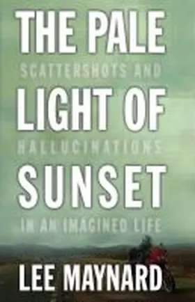 Maynard |  The Pale Light of Sunset | Buch |  Sack Fachmedien