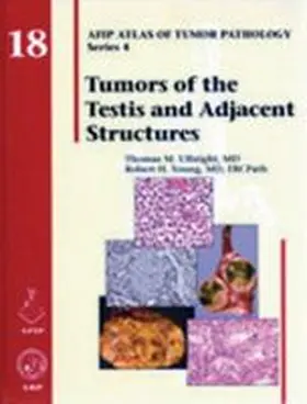  Tumors of the Testis and Adjacent Structures | Buch |  Sack Fachmedien