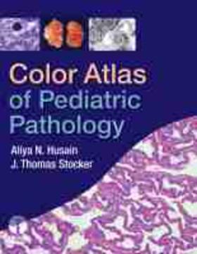 Husain / Stocker | Color Atlas of Pediatric Pathology | Buch | 978-1-933864-57-0 | sack.de