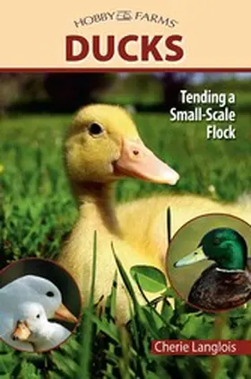 Langlois |  Ducks | eBook | Sack Fachmedien