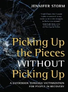 Storm |  Picking Up the Pieces without Picking Up | eBook | Sack Fachmedien