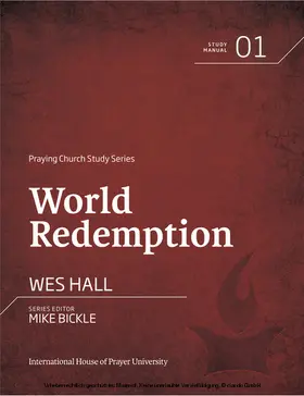 Hall / Bickle |  World Redemption | eBook | Sack Fachmedien