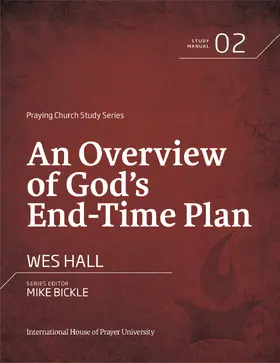 Hall / Bickle |  Overview of God's End-Time Plan | eBook | Sack Fachmedien