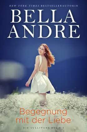 Andre |  Begegnung mit der Liebe (Die Sullivans 3) | eBook | Sack Fachmedien