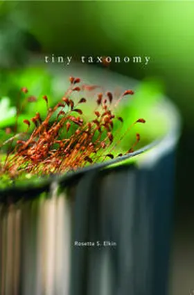 Elkin |  Tiny Taxonomy | Buch |  Sack Fachmedien