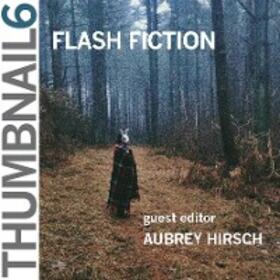 Hirsch / Keating | Thumbnail 6: Flash Fiction | E-Book | sack.de
