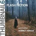 Hirsch / Keating |  Thumbnail 6: Flash Fiction | eBook | Sack Fachmedien