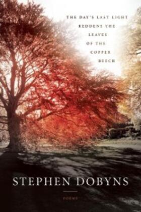 Dobyns |  The Day's Last Light Reddens the Leaves of the Copper Beech | eBook | Sack Fachmedien