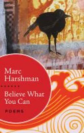 Harshman |  Believe What You Can | Buch |  Sack Fachmedien