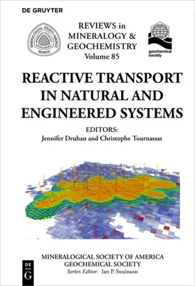 Druhan / Tournassat |  Reactive Transport in Natural and Engineered Systems | Buch |  Sack Fachmedien