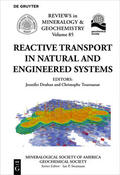 Druhan / Tournassat |  Reactive Transport in Natural and Engineered Systems | Buch |  Sack Fachmedien