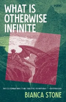 Stone |  What Is Otherwise Infinite: Poems | eBook | Sack Fachmedien
