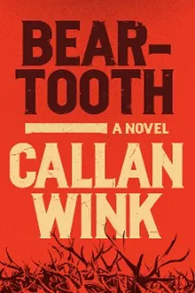 Wink |  Beartooth | eBook | Sack Fachmedien