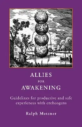 Metzner |  Allies For Awakening | eBook | Sack Fachmedien