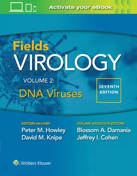 Howley / Knipe / Cohen |  Fields Virology: DNA Viruses | Buch |  Sack Fachmedien