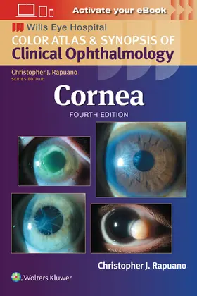 Rapuano |  Cornea: Print + eBook with Multimedia | Buch |  Sack Fachmedien