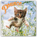 BrownTrout Publisher |  Pounce - Springende Katzen - Katzen beim Sprung 2021 - 18-Monatskalender | Sonstiges |  Sack Fachmedien