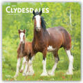 BrownTrout Publisher |  Clydesdales - Clydesdale Pferde 2021 - 18-Monatskalender | Sonstiges |  Sack Fachmedien