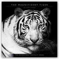 BrownTrout Publisher |  The Magnificent Tiger -Der prächtige Tiger 2021 - 16-Monatskalender | Sonstiges |  Sack Fachmedien