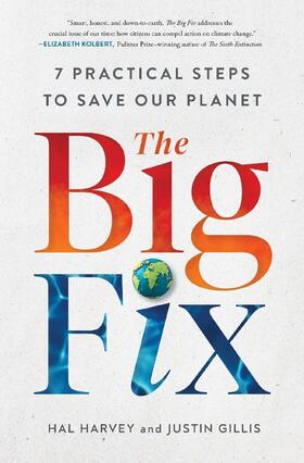 Harvey / Gillis |  The Big Fix | Buch |  Sack Fachmedien