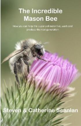 Scanlan |  Incredible Mason Bee | eBook | Sack Fachmedien