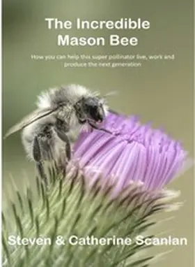 Scanlan |  The Incredible Mason Bee | eBook | Sack Fachmedien