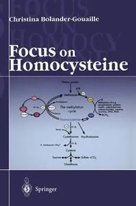Bolander-Gouaille | Focus on Homocysteine | Buch | 978-2-287-59682-7 | www.sack.de