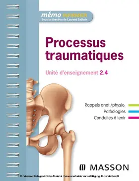Sabbah / Chaïb / Kinugawa |  Processus traumatiques | eBook | Sack Fachmedien