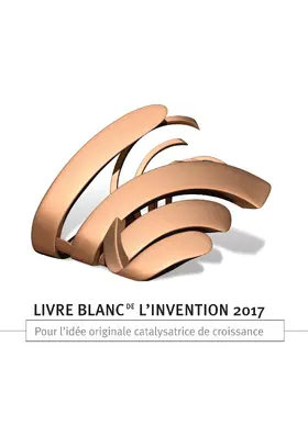 Kuszla-Chevalier / Pouget-Cauchy / Pesqueux |  Livre blanc de l'invention 2017 | eBook | Sack Fachmedien