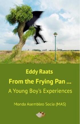 Raats / Richmond |  From the Frying Pan... | eBook | Sack Fachmedien
