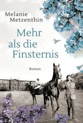 Metzenthin |  Mehr als die Finsternis | Buch |  Sack Fachmedien
