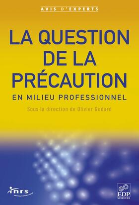 André / Cacheux | La question de la précaution en milieu professionnel | E-Book | sack.de