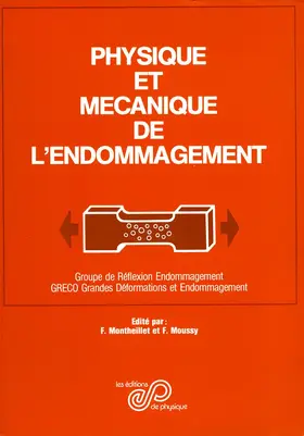 Montheillet / Moussy |  Physique et mécanique de l'endommagement | eBook | Sack Fachmedien